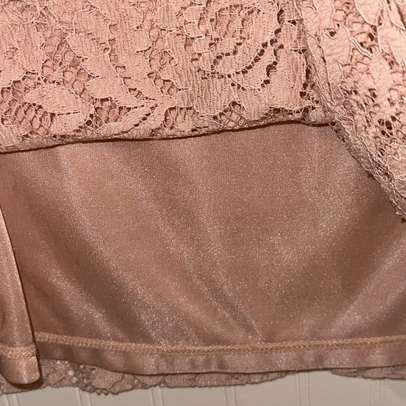 Fossil Nude Lace Shift Dress - Picture 4 of 6